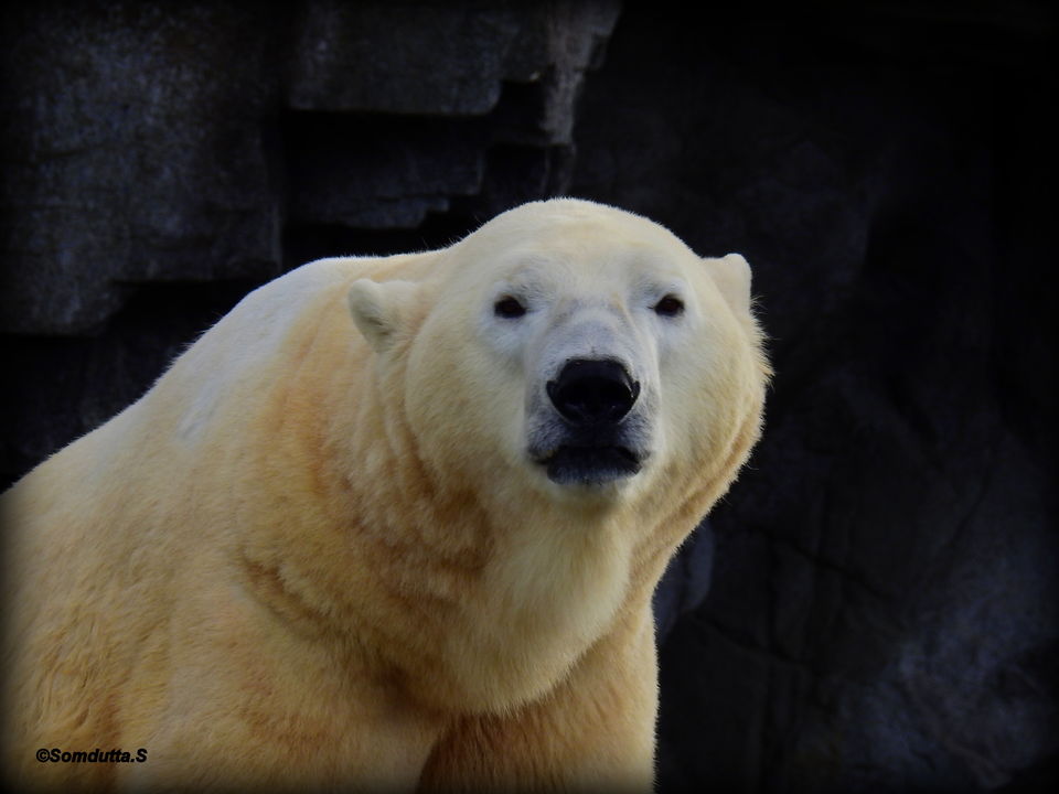 Photo of 7 days in Australia. Places to see and things to do. by Somdutta Sarkar