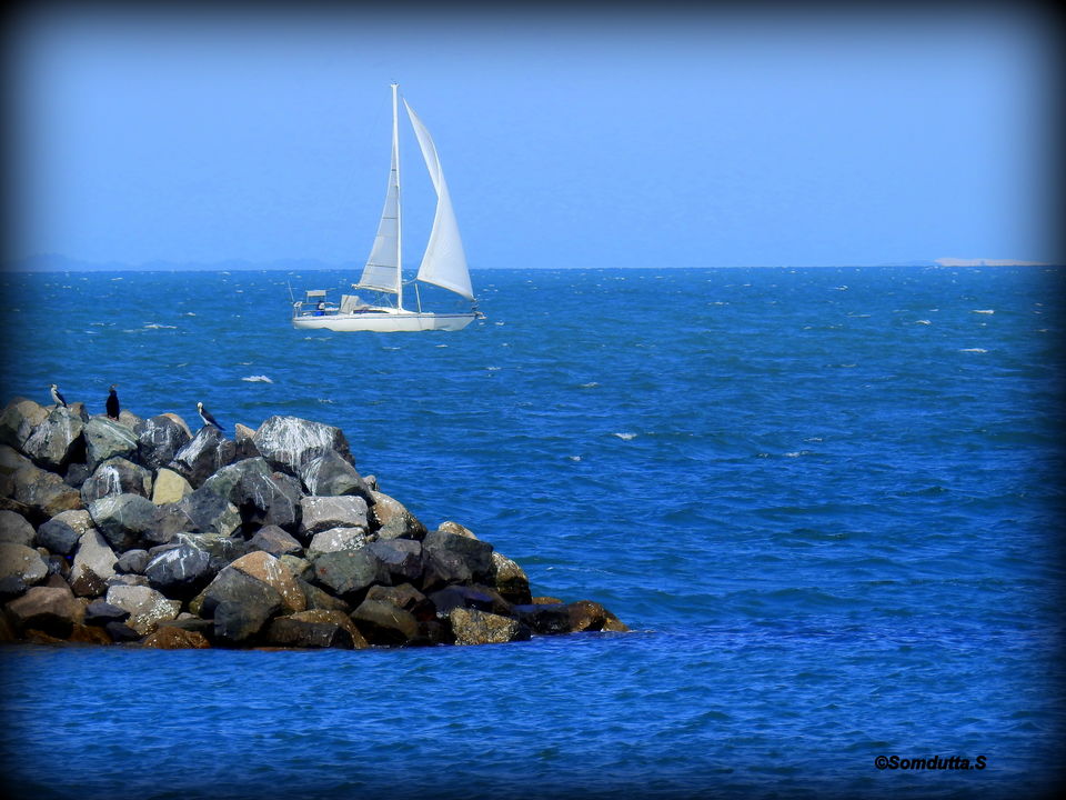 Photo of 7 days in Australia. Places to see and things to do. by Somdutta Sarkar