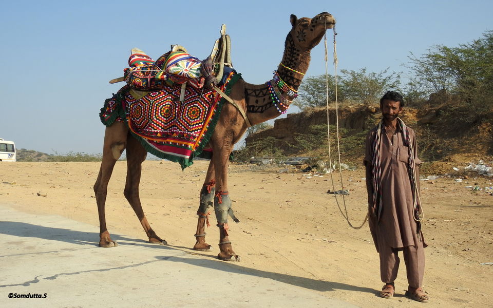 Photo of Kalo Dungar, Gujarat by Somdutta Sarkar