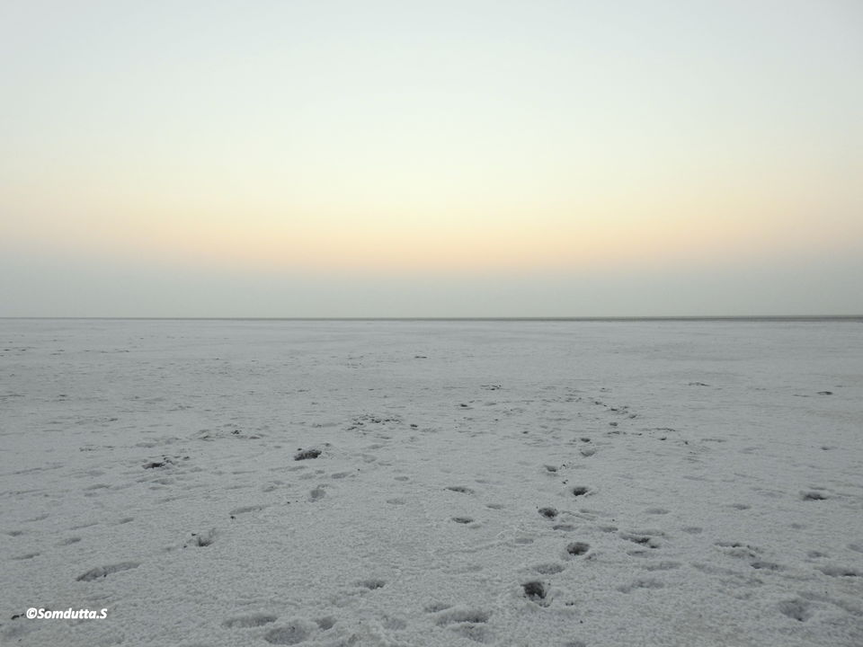 White Desert of India: The White Desert Of India - Rann Of Kutch | Tripoto