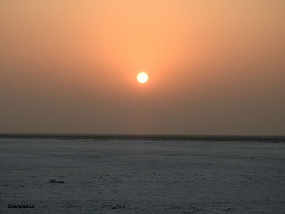 White Desert of India: The White Desert Of India - Rann Of Kutch | Tripoto