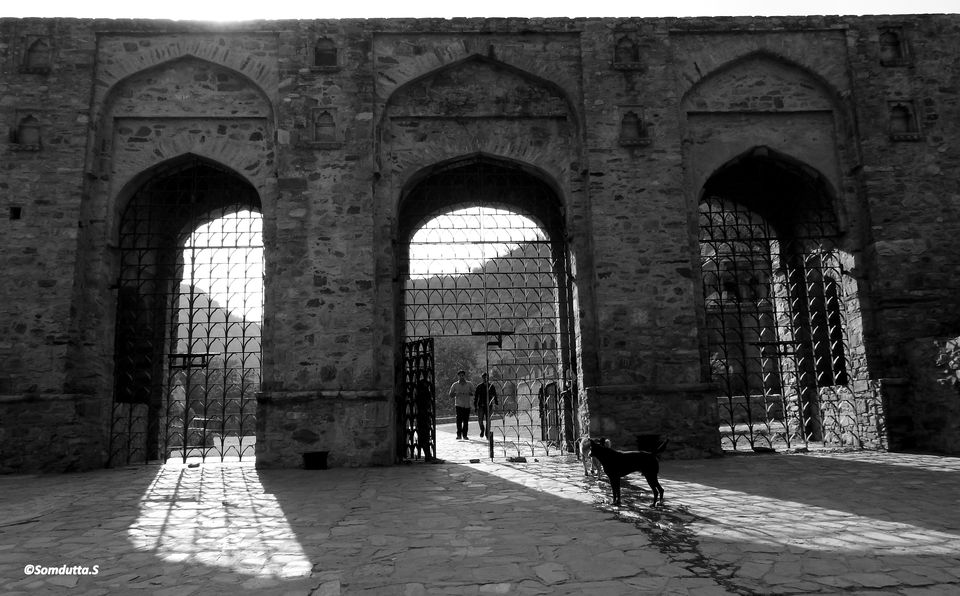 Photo of Weekend trip - Alwar and Bhangarh - Listed as most haunted place in India by Somdutta Sarkar
