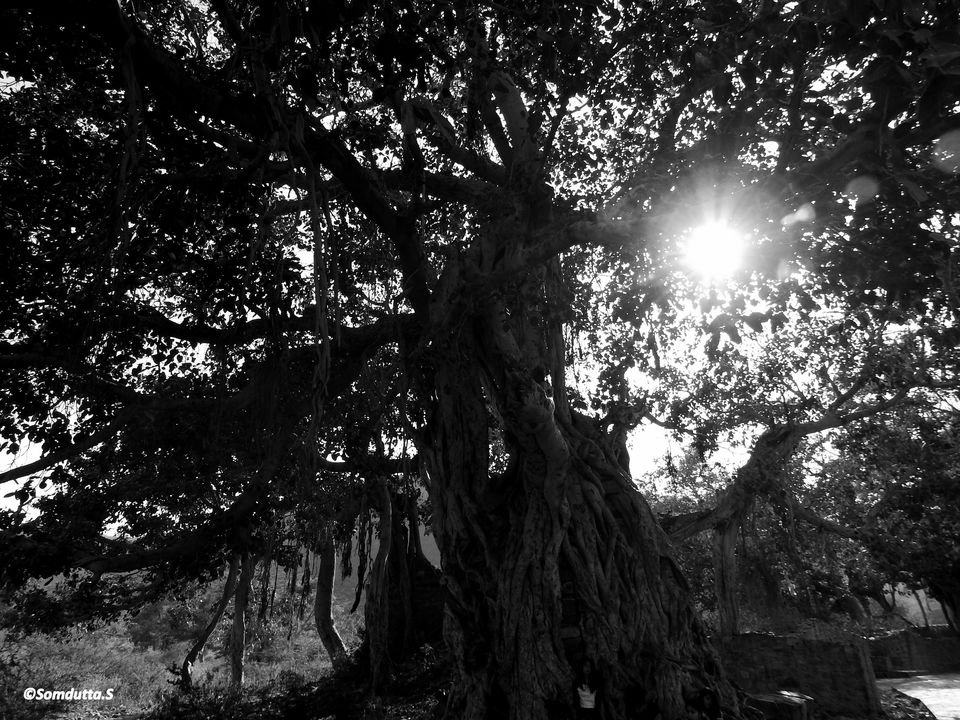 Photo of Weekend trip - Alwar and Bhangarh - Listed as most haunted place in India by Somdutta Sarkar