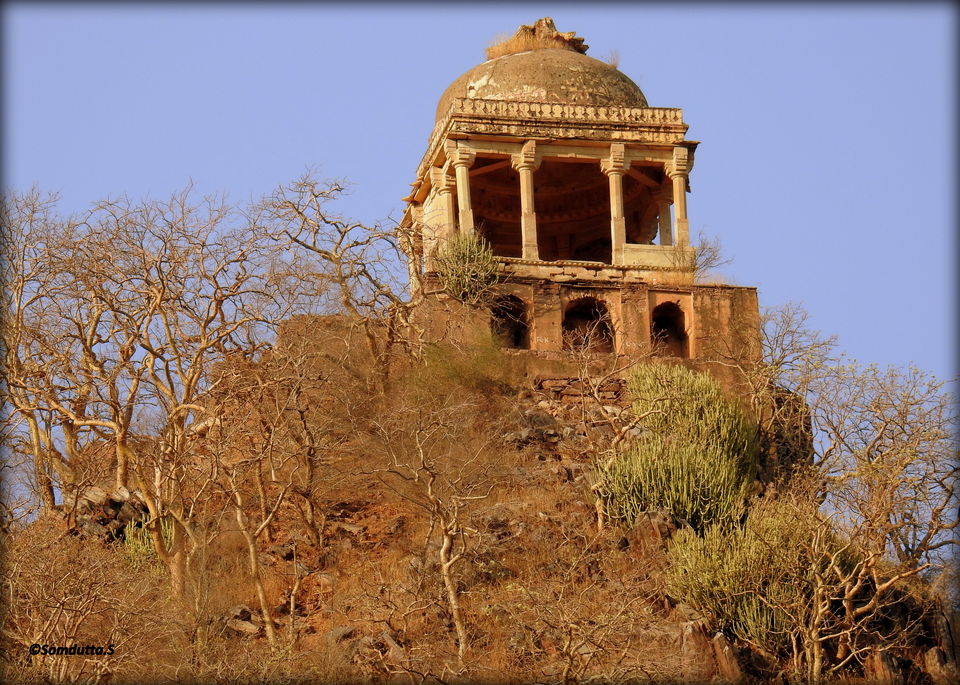 Photo of Weekend trip - Alwar and Bhangarh - Listed as most haunted place in India by Somdutta Sarkar