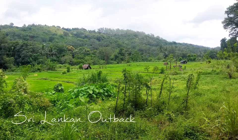 Photo of Sri Lanka, Sri Lanka by Anupama Gupta