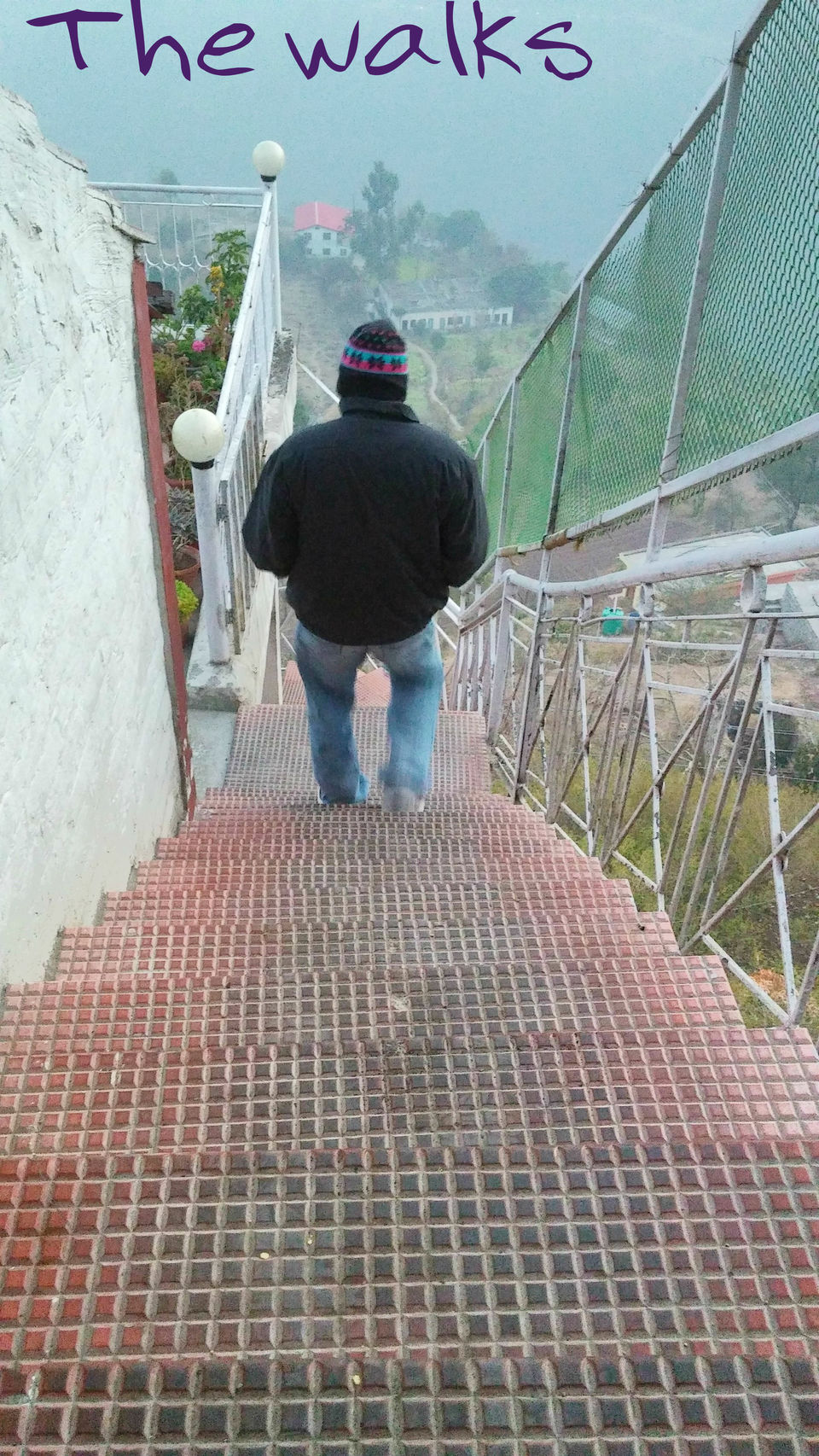 Photo of Day trip from Chandigarh 3/11 by Anupama Gupta