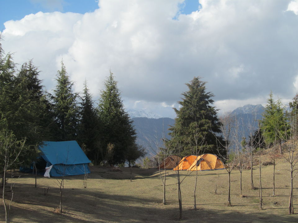 Photo of Exploring the Himalayas - Deoriatal Chandrashila Trek 5/63 by Sahil Raut