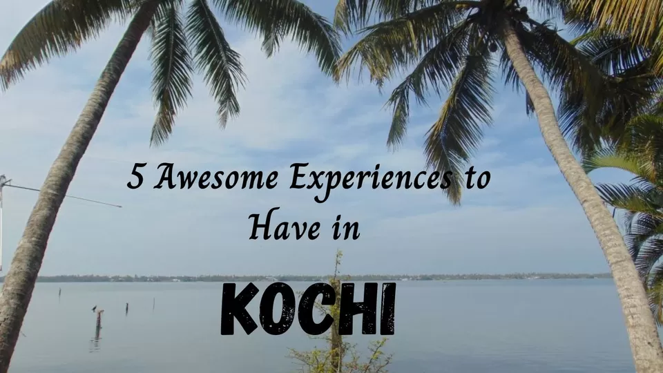 Photo of 5 Awesome Experiences to Have in Kochi by ashley