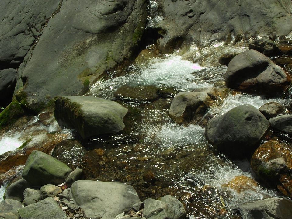 Photo of Pelling- The West Sikkim Heartland 3/16 by Sudeshna Mitra