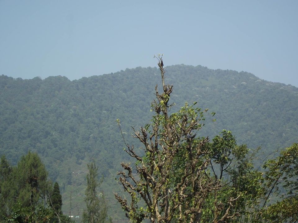Photo of Pelling- The West Sikkim Heartland 4/16 by Sudeshna Mitra