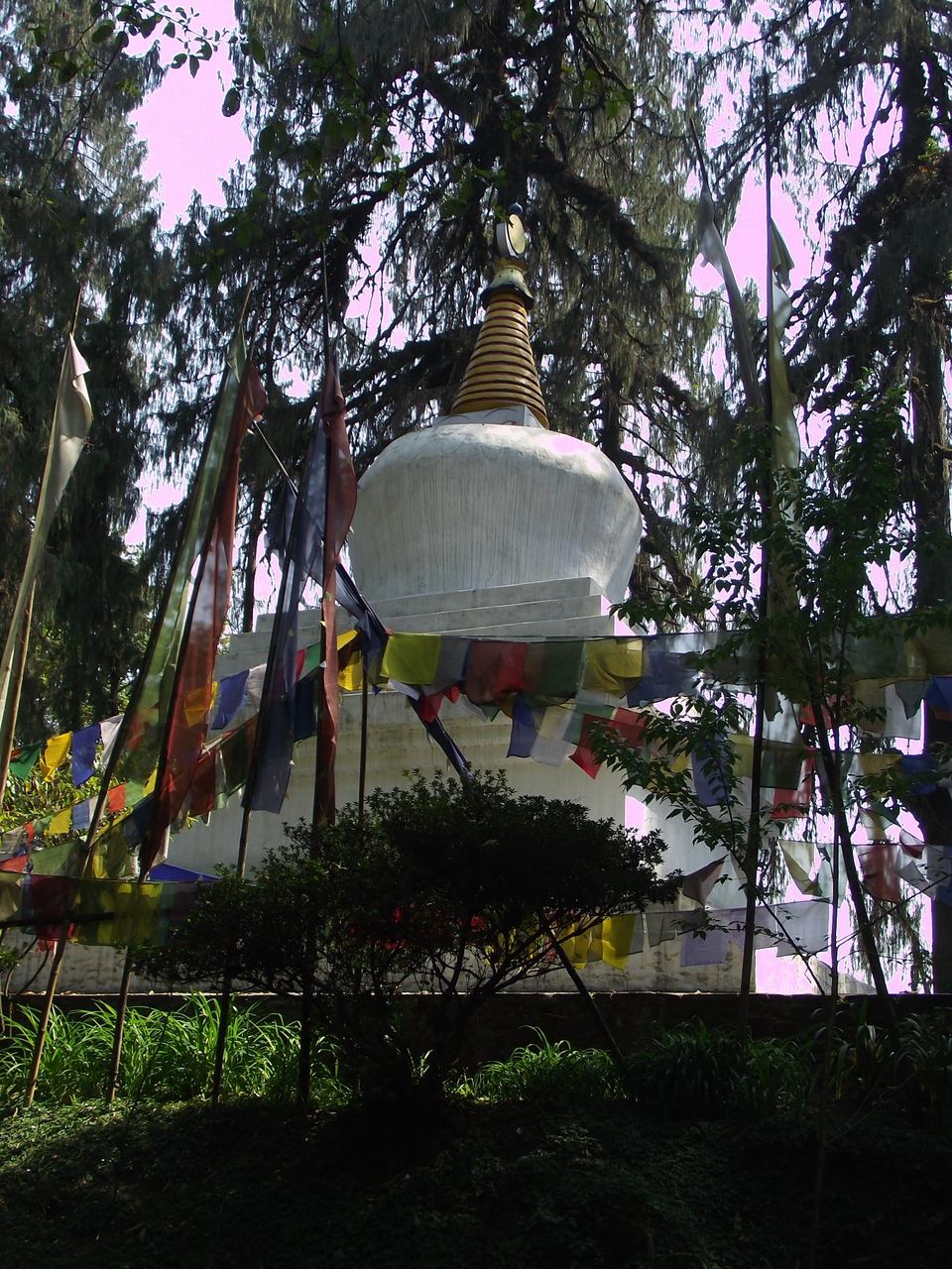 Photo of Pelling- The West Sikkim Heartland 7/16 by Sudeshna Mitra