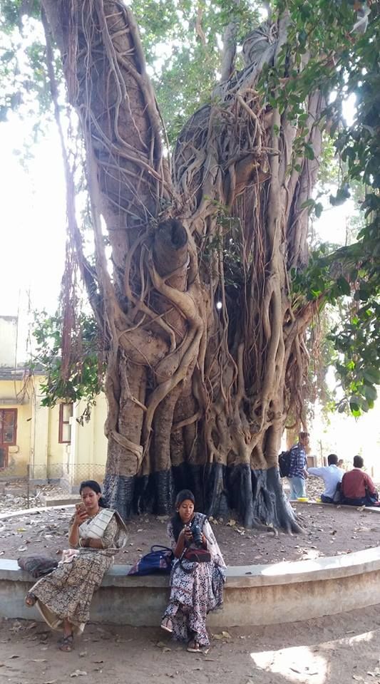 Photo of Visva Bharati, Bolpur, West Bengal, India by Sudeshna Mitra