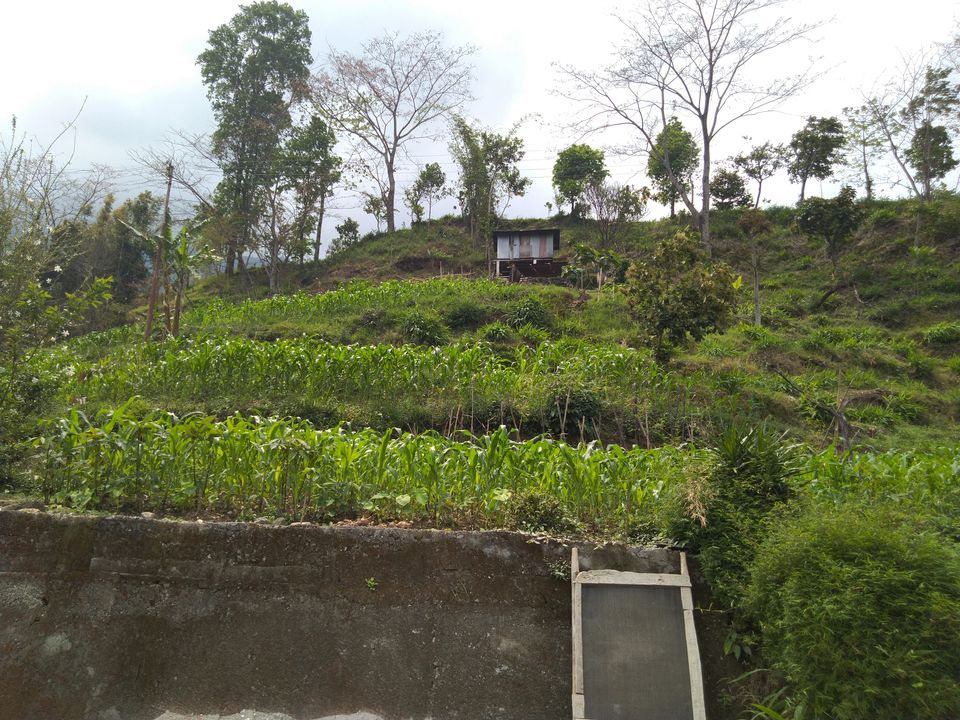 Photo of Sittong: The orange village of Darjeeling and a lot more... 28/83 by Sudeshna Mitra