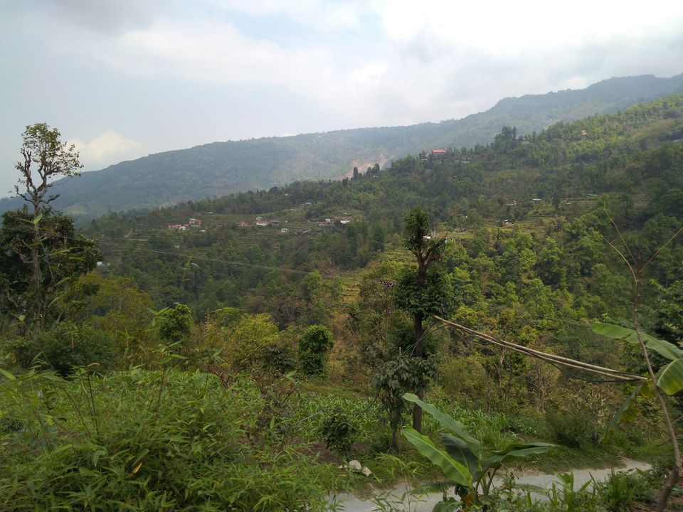 Photo of Sittong: The orange village of Darjeeling and a lot more... 29/83 by Sudeshna Mitra