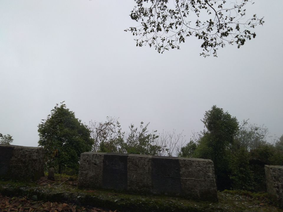 Photo of Sittong: The orange village of Darjeeling and a lot more... 65/83 by Sudeshna Mitra