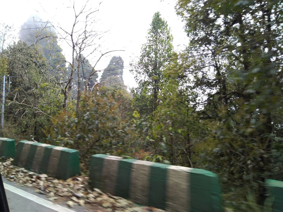 Photo of Sittong: The orange village of Darjeeling and a lot more... 66/83 by Sudeshna Mitra