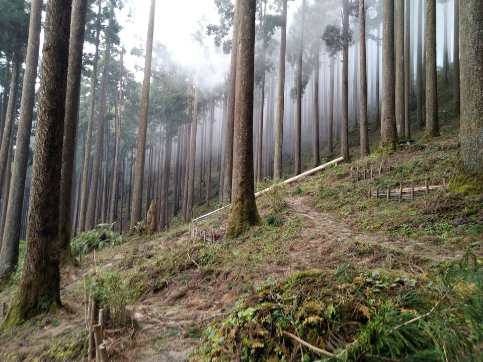 Photo of Sittong: The orange village of Darjeeling and a lot more... 69/83 by Sudeshna Mitra