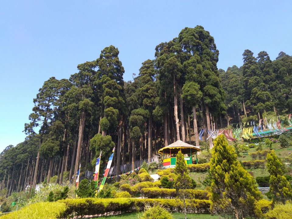 Photo of Sittong: The orange village of Darjeeling and a lot more... 77/83 by Sudeshna Mitra