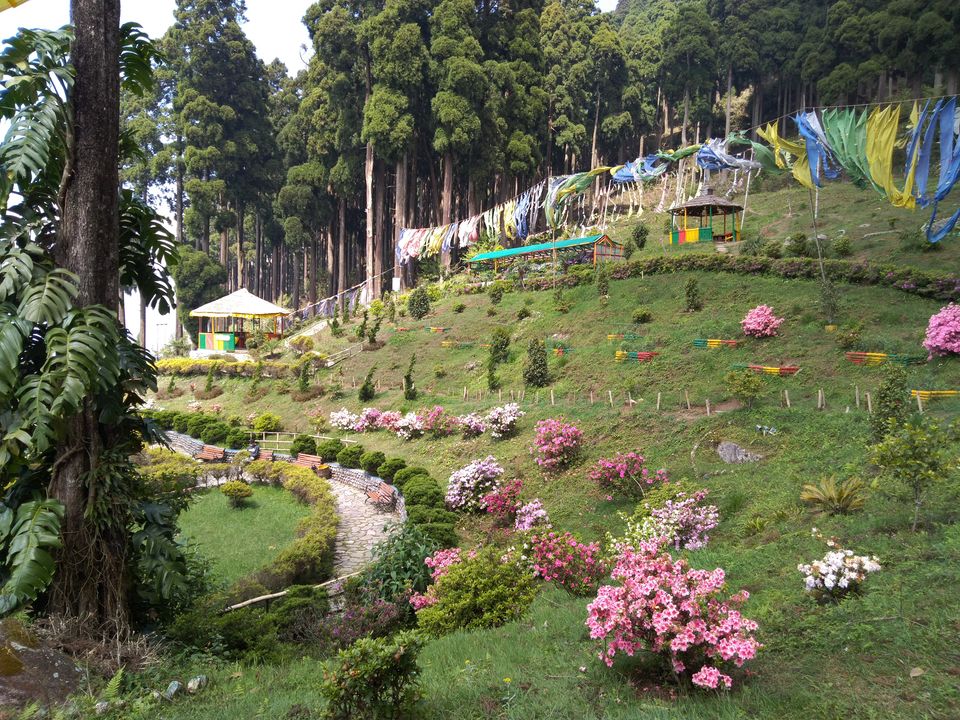 Photo of Sittong: The orange village of Darjeeling and a lot more... 75/83 by Sudeshna Mitra