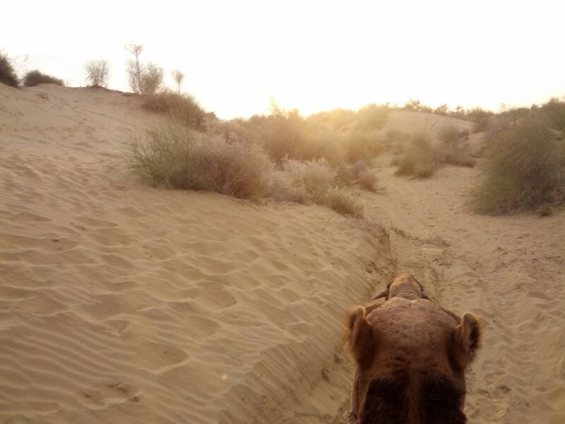Photo of Rajasthan: 5 cities in 5 days! 24/60 by Anand Dass