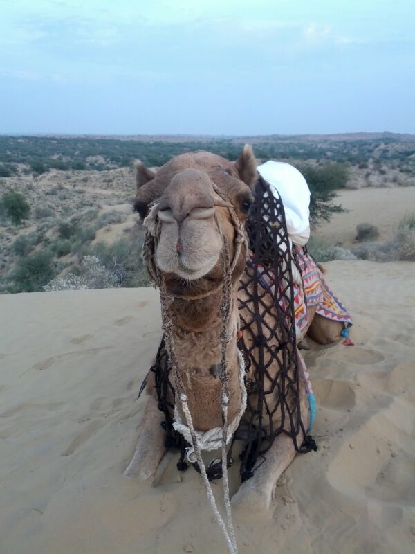 Photo of Rajasthan: 5 cities in 5 days! 28/60 by Anand Dass