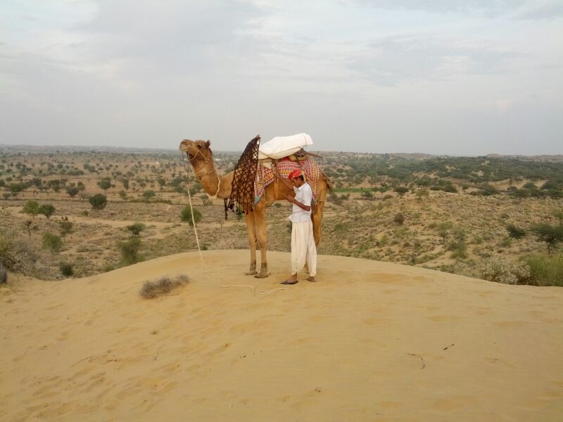 Photo of Rajasthan: 5 cities in 5 days! 30/60 by Anand Dass