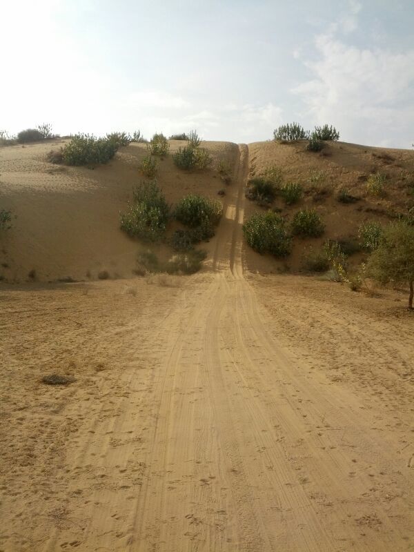 Photo of Rajasthan: 5 cities in 5 days! 31/60 by Anand Dass
