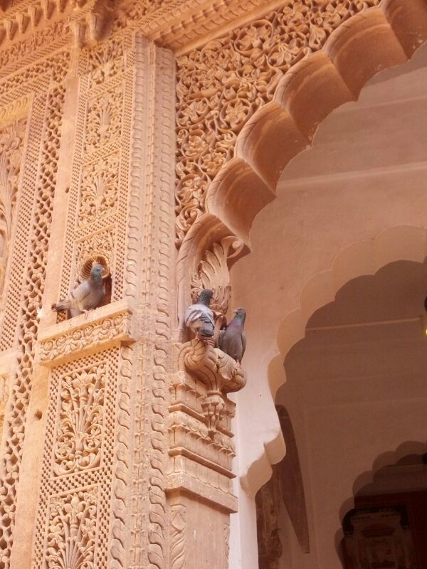 Photo of Rajasthan: 5 cities in 5 days! 39/60 by Anand Dass