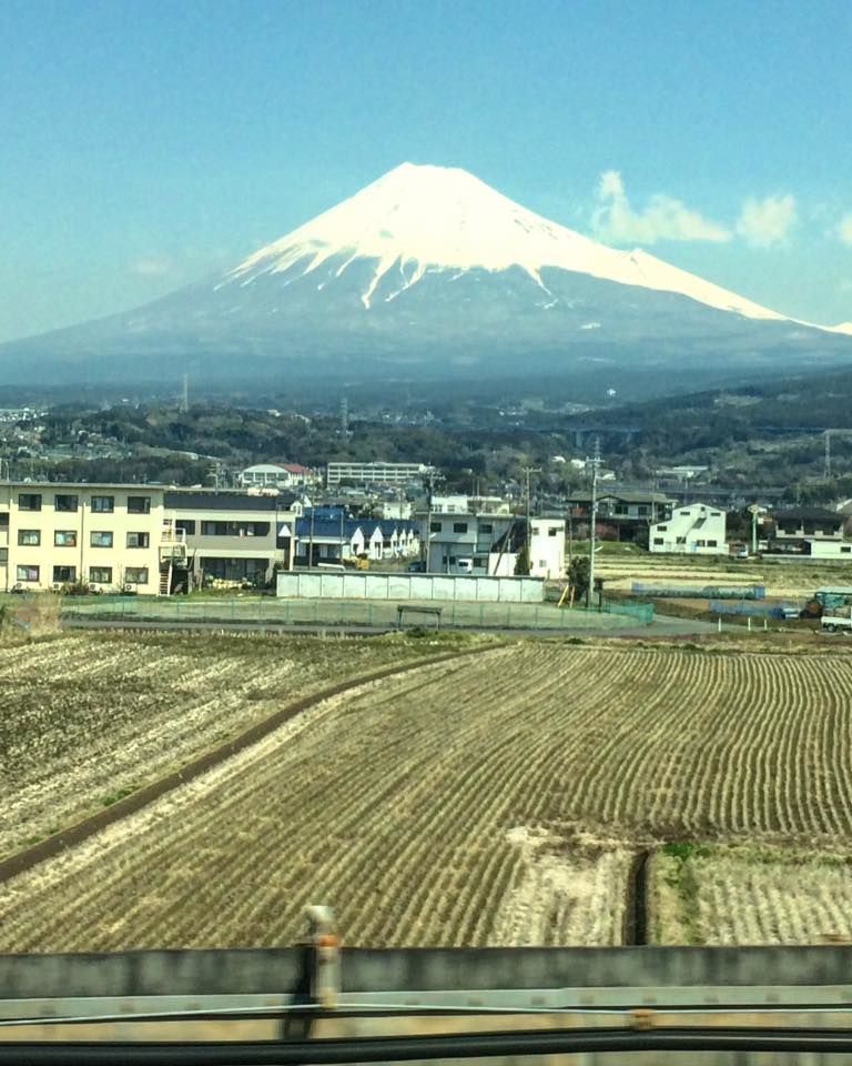 Photo of Japan In 7 Days | Sakura Cherry Blossom | Not Just Travelling 10/10 by Not Just Travelling