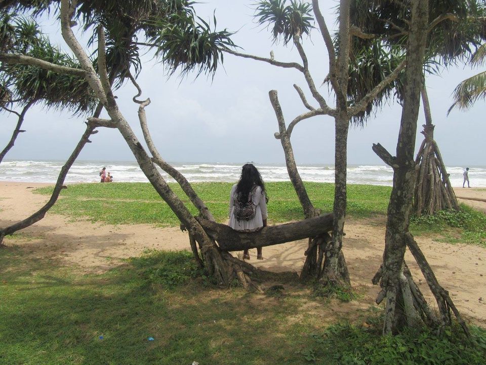 Photo of Srilanka in 5 days|Monsoons|Not Just Travelling 7/7 by Not Just Travelling