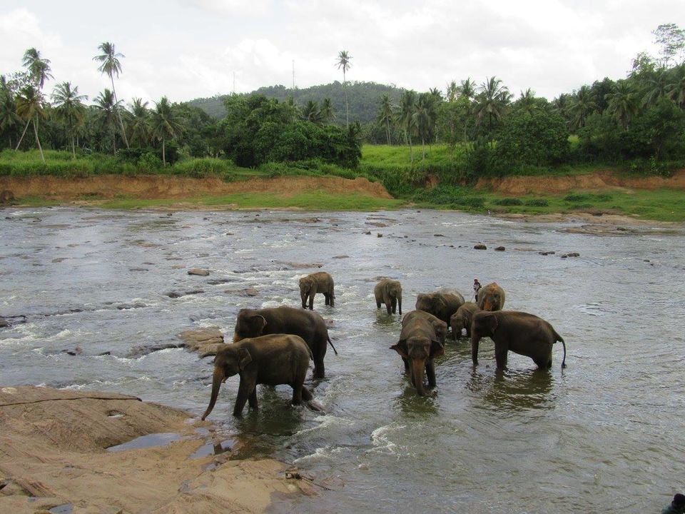 Photo of Srilanka in 5 days|Monsoons|Not Just Travelling 2/7 by Not Just Travelling
