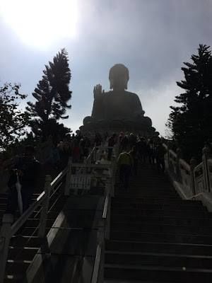 Photo of Hong-Kong and Macau in 5 days|Not Just Travelling 3/11 by Not Just Travelling