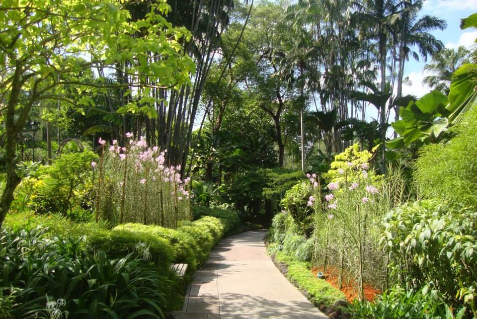 Photo of Singapore in 3 days|Around Singapore in $330|Not Just Travelling 6/8 by Not Just Travelling