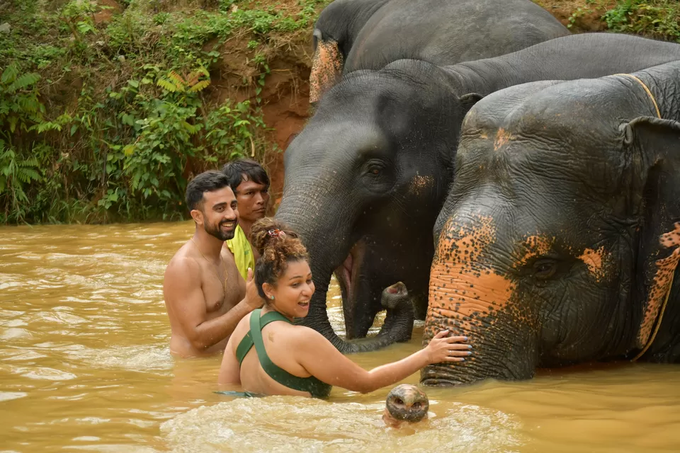 Photo of I Visited One of The Very Few Ethical Elephant Sanctuaries in Thailand, And Here's My Experience by Kadambari Bhatte (curlytravelmess)
