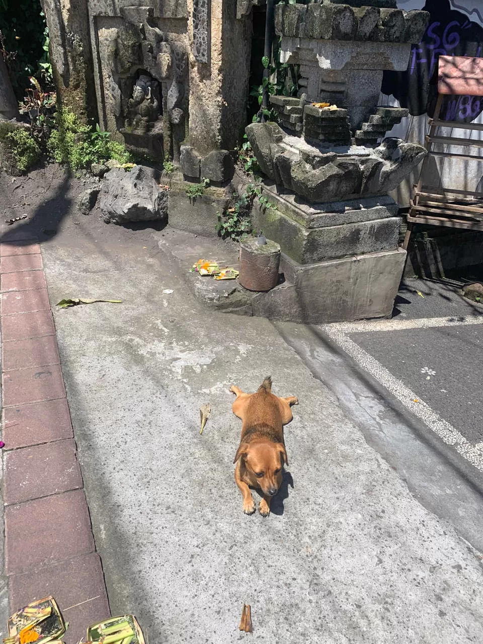 Photo of Bali - Again For The Third Time! by Kadambari Bhatte (curlytravelmess)