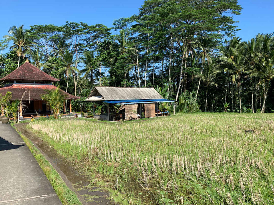 Photo of Bali - Again For The Third Time! by Kadambari Bhatte (curlytravelmess)