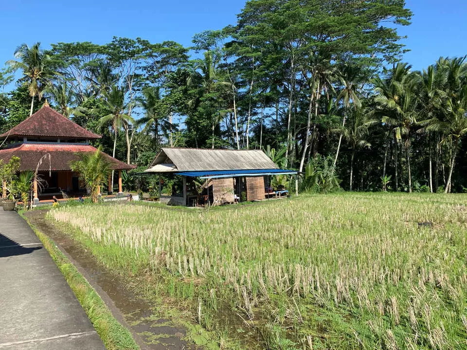 Photo of Bali - Again For The Third Time! by Kadambari Bhatte (curlytravelmess)