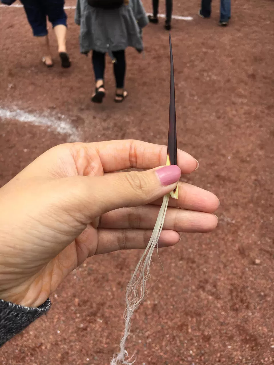 Photo of Torre Latino, Eje Central, Centro, Mexico City, CDMX, Mexico by Kadambari Bhatte (curlytravelmess)