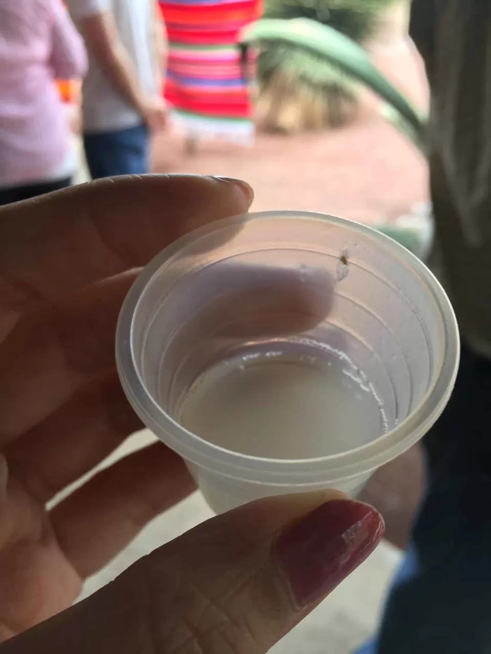 Photo of Torre Latino, Eje Central, Centro, Mexico City, CDMX, Mexico by Kadambari Bhatte (curlytravelmess)