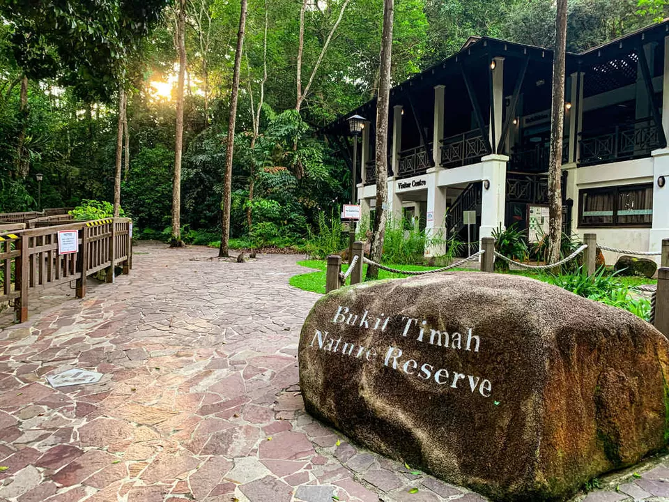 Photo of A Short Hike at Singapore’s Bukit Timah Nature Reserve by Kadambari Bhatte (curlytravelmess)