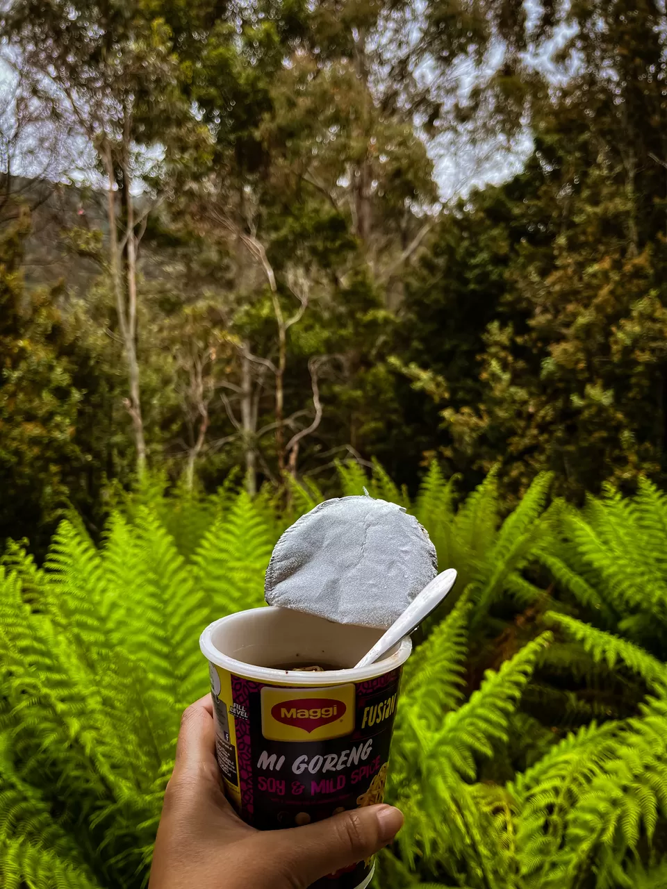 Photo of Moina By Kadambari Bhatte (curlytravelmess)