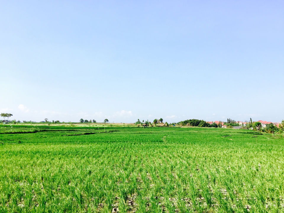 Photo of Bali And Beaches 15/20 by Kadambari Bhatte (curlytravelmess)