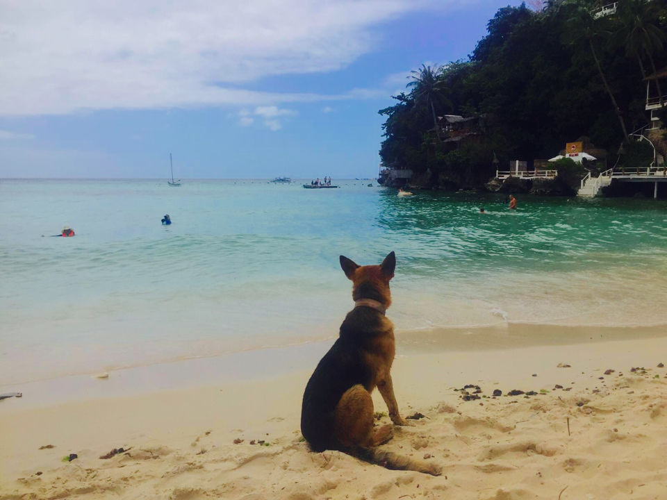 Photo of This Place is Highly Over rated! Boracay Island, Philippines by Kadambari Bhatte (curlytravelmess)