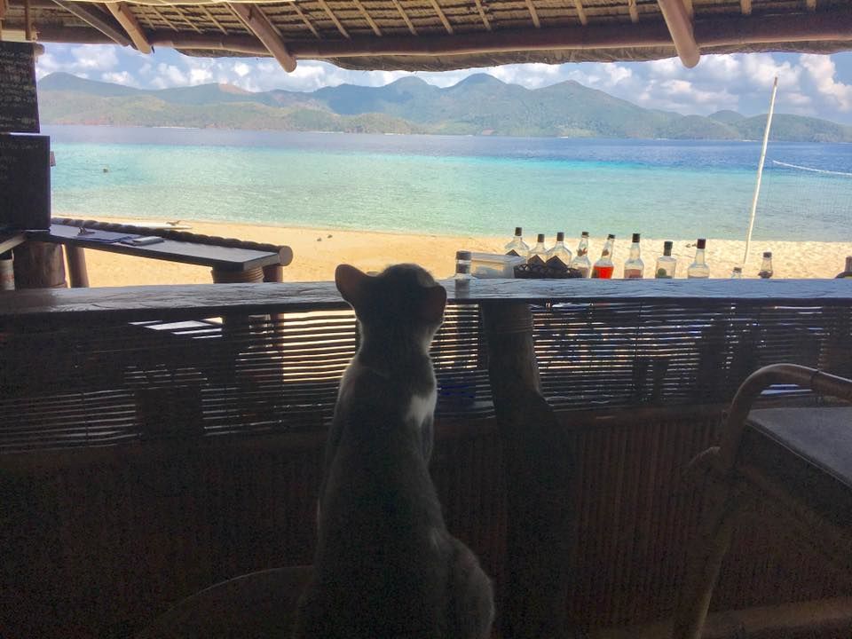Photo of Palawan by Kadambari Bhatte