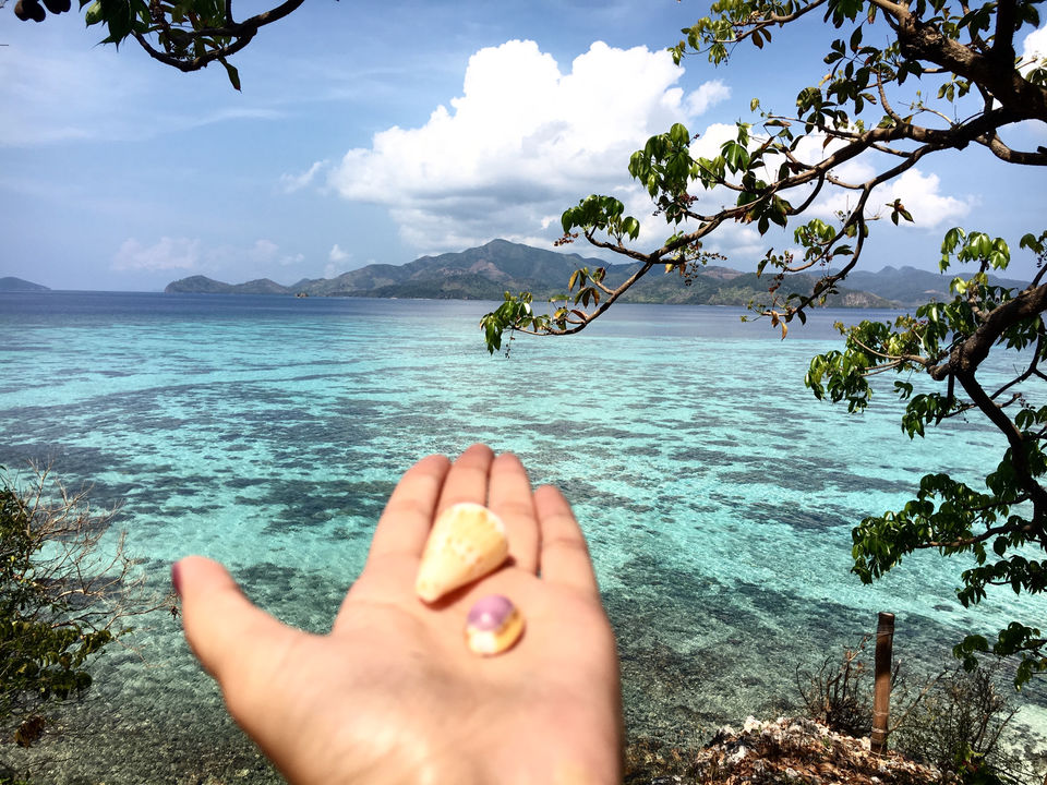 Photo of A Post Card Perfect Zero Carbon & Eco-Friendly Island in Philippines by Kadambari Bhatte (curlytravelmess)