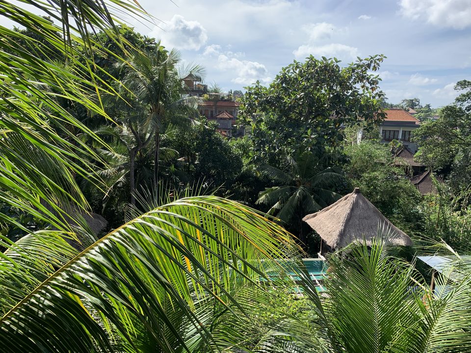 Photo of Bali - Again For The Third Time! 1/5 by Kadambari Bhatte (curlytravelmess)