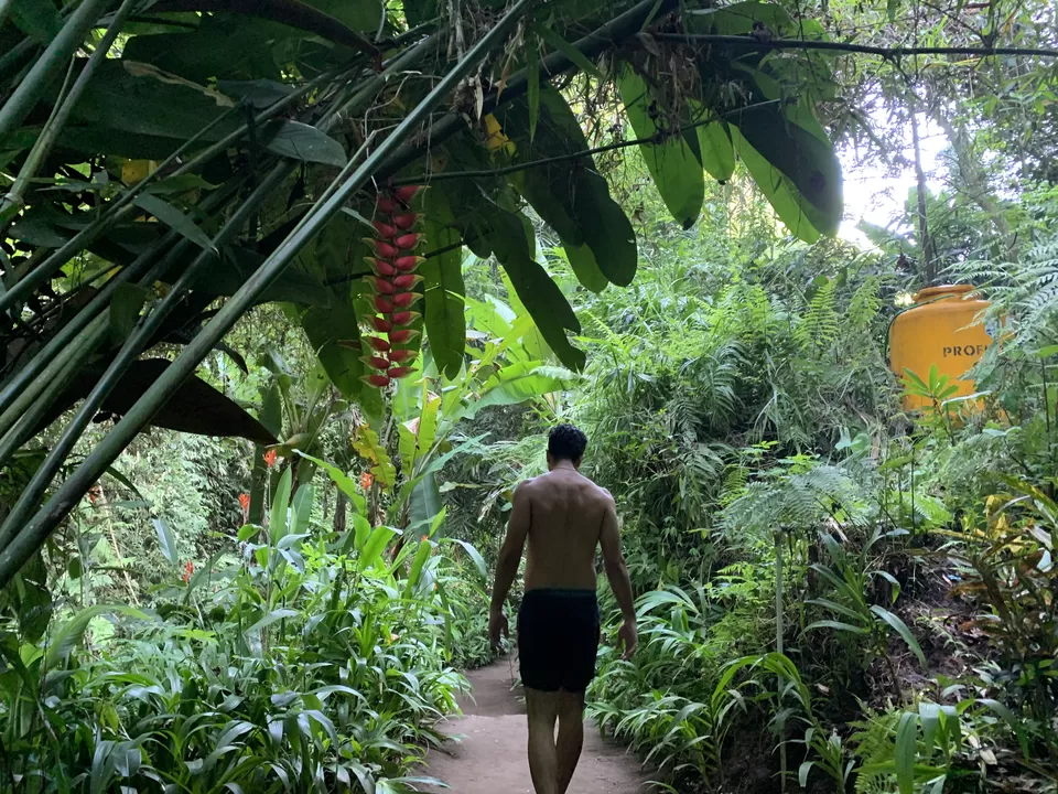 Photo of Bali - Again For The Third Time! by Kadambari Bhatte (curlytravelmess)