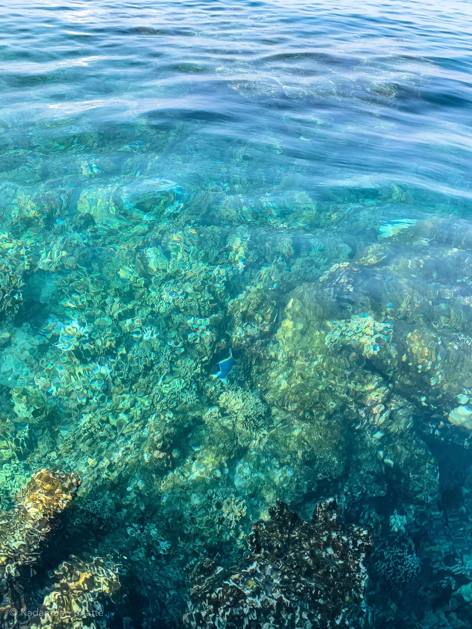 Photo of I LOVED Maldives - A Humble Destination Packed With Surprises! by Kadambari Bhatte (curlytravelmess)