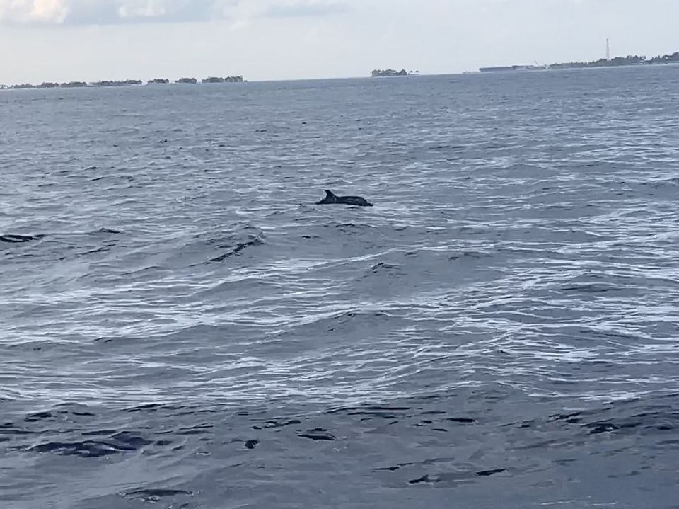 Photo of Maldives, all you want to know! by Kadambari Bhatte