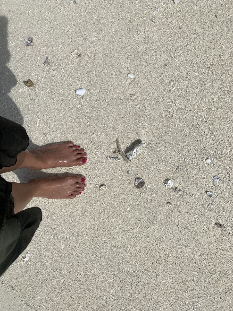 Photo of Sand Bank, Maldives by Kadambari Bhatte